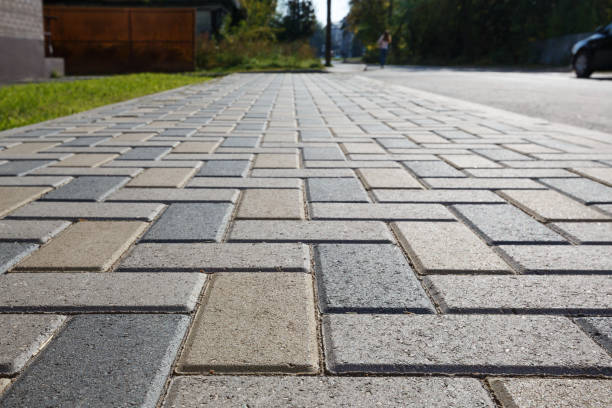 Best Driveway Pavers Near Me  in Burton, SC