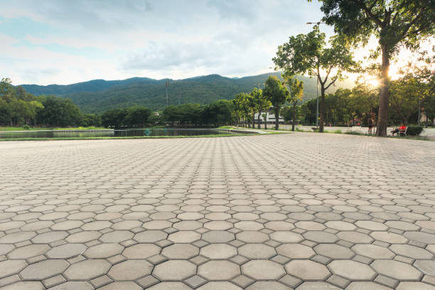 Best Driveway Paving Contractor  in Burton, SC