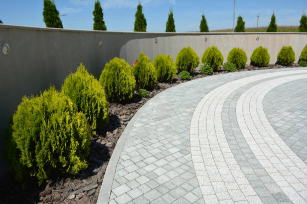 Best Commercial Driveway Pavers  in Burton, SC